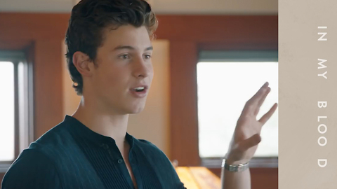 Shawn Mendes EXCLUSIVE Inside Look For His New Song “In My Blood”