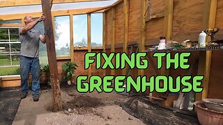 Repairing The Greenhouse