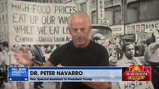 Dr. Navarro: The Fed and Congress’ Moronic Actions Are Gonna ‘Set Stagflation in Stone’