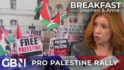 Pro Palestine: 'Some who take EXTREME view' | How peaceful was the rally in London?