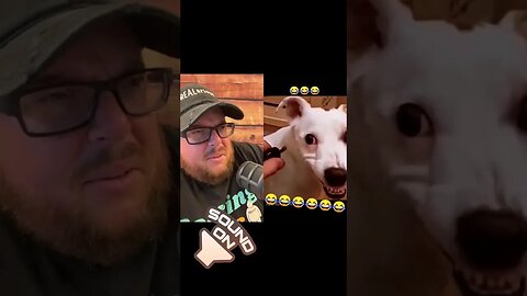 Here’s Your Dose of REALarious…🤣🤣🤣 #funny #duet #funnycomedy #makeyoulaugh #watchfunny #dog