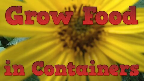 Grow Root Veg Without a Garden