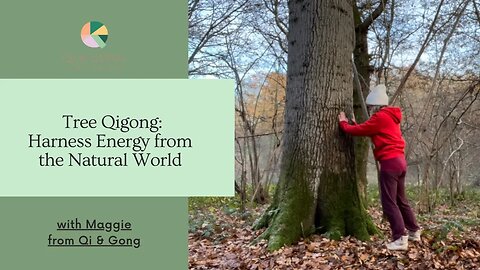 How to Do Tree Qigong: Harness Energy from the Natural World