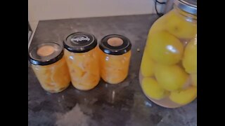 Preserving Citrus Fruits 🍋🍊🫙#prepping#ukprepping #frugal#blessed #community