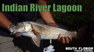 Fishing Wabasso Florida Indian River Lagoon
