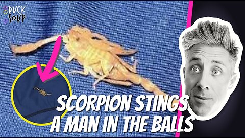 Scorpion Sting on THE BALLS! | Clip | Duck Soup