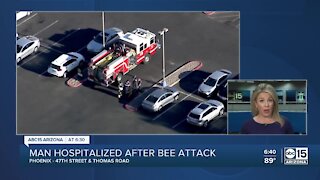 Man hospitalized after bee attack in Phoenix
