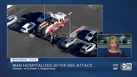 Man hospitalized after bee attack in Phoenix