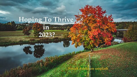 Are You Hoping to Thrive in 2023?
