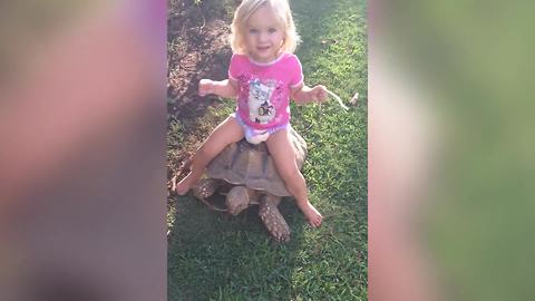 A Tot Girl Rides A Turtle In A Backyard