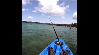 Trout in the kayak