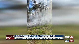 Fire fighters put out brush fire off Immokalee Road