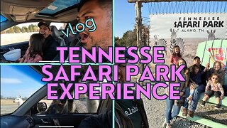 Wild Tennessee Safari Park Experience: A once-in-a-lifetime (maybe) adventure you won't forget!