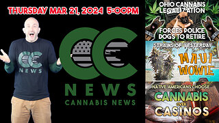 Cannabis News Update – Ohio's Retiring Police Dogs, Maui Wowie, and Native Communities Go GREEN