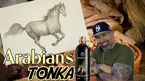 MONTALE ARABIANS TONKA..WHERE'S THE HORSEPOWER?