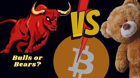 Bitcoin In Bull Market Or Bear Market? This Video Will Settle All That Debate For You!