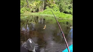 Panfishing from a kayak