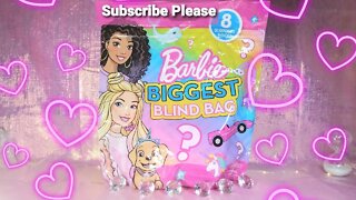 Barbie Biggest Blind Bag 🛍️ review