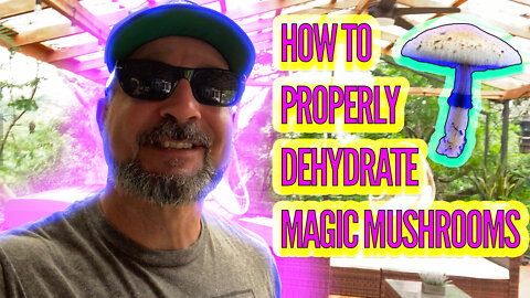 HOW TO DEHYDRATE MAGIC MUSHROOMS (EASY METHOD)
