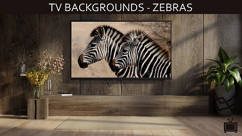 TV Background Two Zebras Screensaver TV Art Single Slide / No Sound