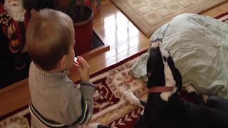 Little Boy Plays Harmonica While Dog Sings