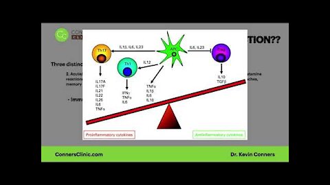 Understanding the Bundles | Conners Clinic