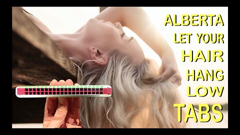 How to Play Alberta Let Your Hair Hang Low on a Tremolo Harmonica with 20 Holes