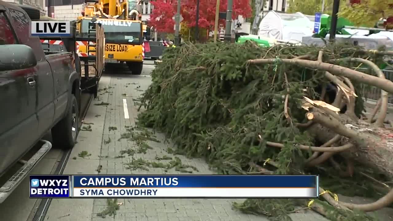 60-foot tree to be put into place at Campus Martius on Wednesday