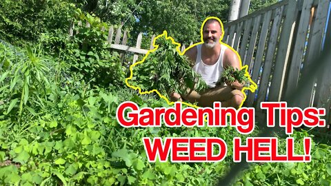 Summer Gardening | How to Pull out The Big Weeds. #montreal 2022