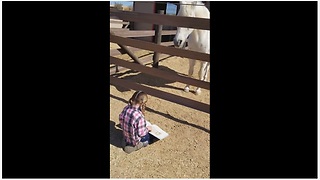 Horse Is Captivated By A Little Girl Reading To Him