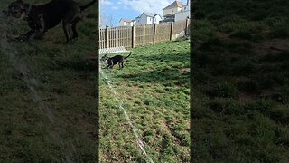 Rocky vs Water