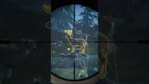 Whitetail 💎 HAT TRICK - New England Diamonds - theHunter: Call of the Wild #shorts