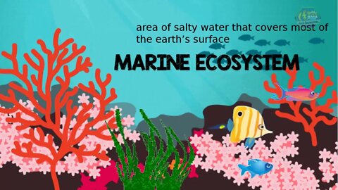 MARINE ECOSYSTEM | Biology Animation