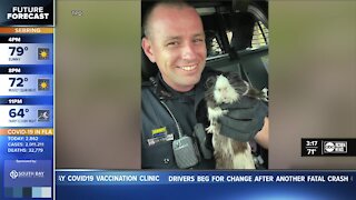 Officer captures guinea pig on the loose