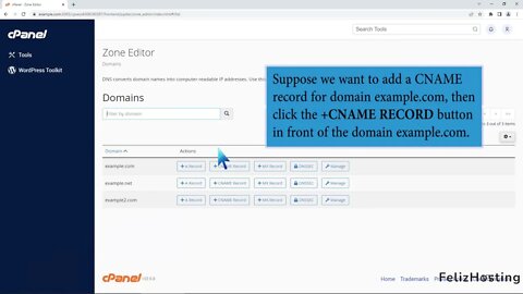 How to add CNAME Record in cPanel using the DNS Zone Editor with FelizHosting