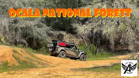Off-Road in Ocala National Forest | Water Crossings and Chainsaws | Bronco, Jeep, and AEV Bison
