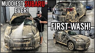 Deep Cleaning The MUDDIEST Subaru Ever! | Insanely Satisfying Disaster Car Detailing Transformation!