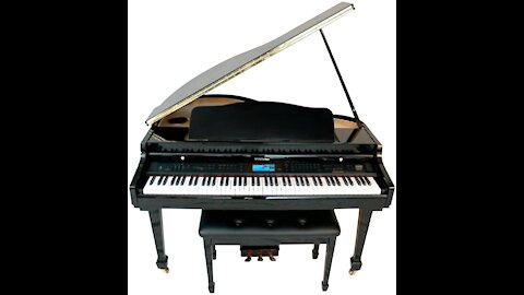 Suzuki, 88-Key Digital Pianos - Home (MDG-400 bl)