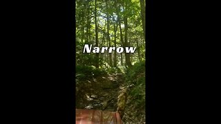 Narrow Gauge - Jeep Cherokee XJ Going Up a Narrow Trail in the Pennsylvania Wilderness #shorts