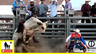 Bull Riding Section 1 - 2022 Champions Challenge Xtreme Roughstock