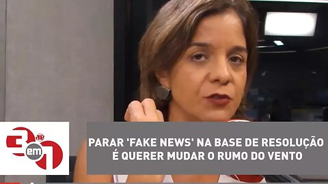 Vera: "Querer parar 'fake news' na base de resolução é querer mudar o rumo do vento"