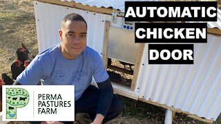 Automatic Chicken Door Review