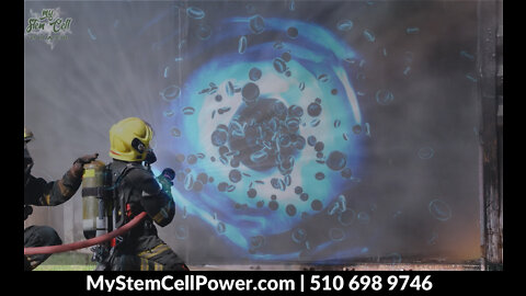 Adult Stem Cells: First Responders When Your Body Makes a Biochemical 911 Call