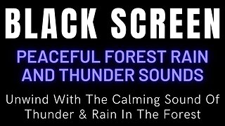 Unwind With The Calming Sound Of Thunder & Rain In The Forest || Relax And Sleep Better