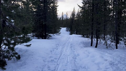 5 MINUTES of Silent Winter 4K Hiking in Crispy N' Snappy Snow | Ray Benson Sno-Park | Central Oregon