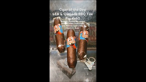 LCA & Quesada BBQ Fire Pig 4x60 #CigarOfTheDay #Short #Cigars #Shorts #Cigar #SNTB #BBQPig