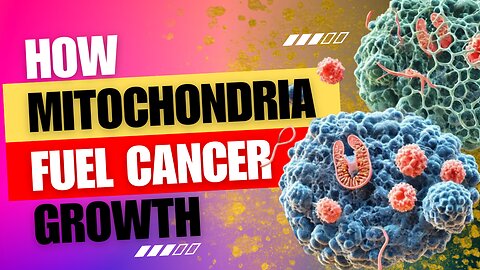 How Mitochondria Fuel Cancer Growth