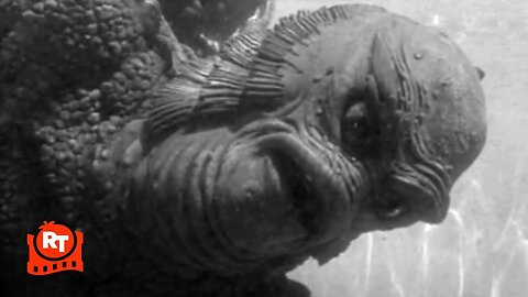 Revenge of the Creature (1955) - The Gill-man Fights Back Scene