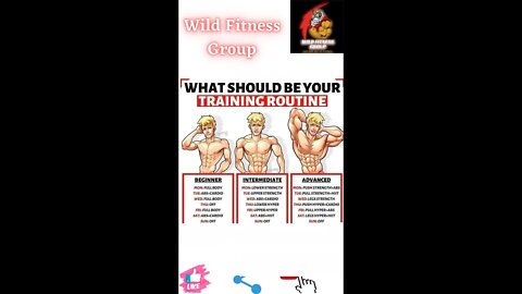 🔥What should be your training routine🔥#fitness🔥#wildfitnessgroup🔥#shorts🔥