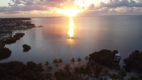 ￼ Islamorada Florida￼ - 7 Mile Bridge - Manatee Sighting - Drone Footage